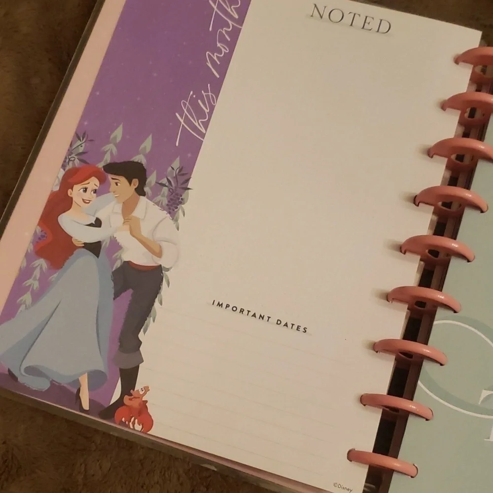 Disney Princess undated planner. New